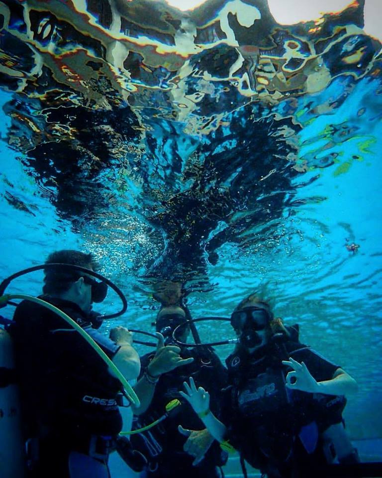 14947786_353564608326391_5822171105934132183_n