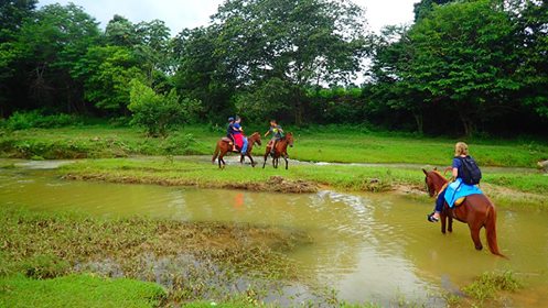 14962541_352881258394726_4518573832722290911_n